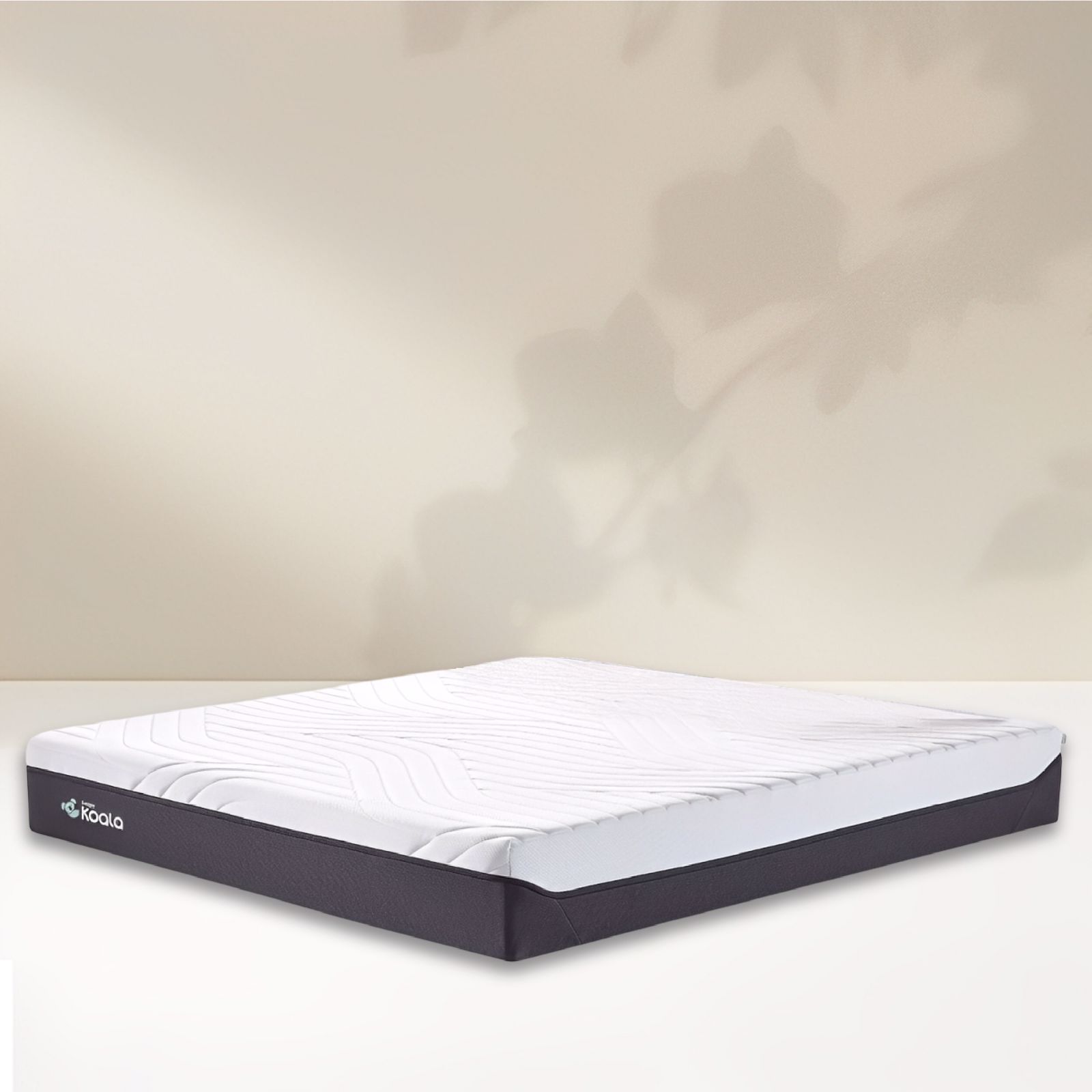 WhatsApp Image 2025-09-03 at 12.32.18 PM